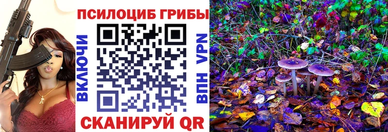 Псилоцибиновые грибы Psilocybine cubensis  наркота  блэк спрут ONION  площадка клад  Шенкурск 