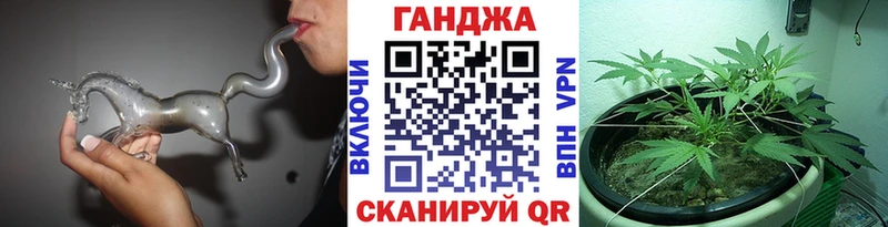 Бошки марихуана Amnesia  купить наркотик  Шенкурск 